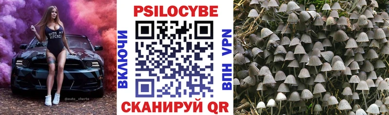 ОМГ ОМГ сайт  Гвардейск  Галлюциногенные грибы прущие грибы 