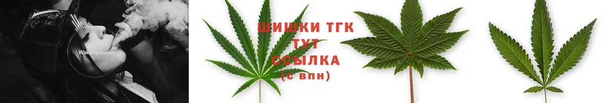 OMG маркетплейс  Гвардейск  Шишки марихуана OG Kush  купить наркоту 