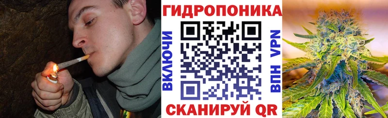 МЕГА tor Гвардейск Канабис LSD WEED